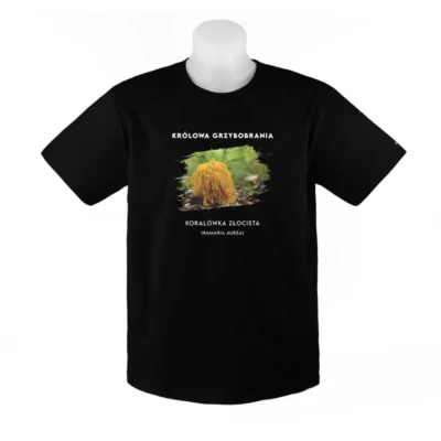 KOSZULKA - KORALÓWKA ZŁOCISTA