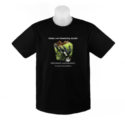 KOSZULKA - PRÓCHNILEC MACZUGOWATY