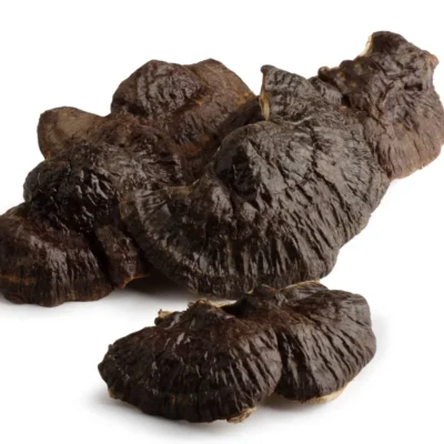 LAKOWNICA ŻÓŁTAWA (REISHI) SUSZONA