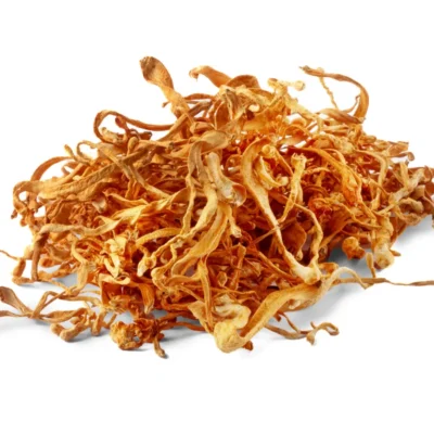 MACZUŻNIK BOJOWY (CORDYCEPS) SUSZONY