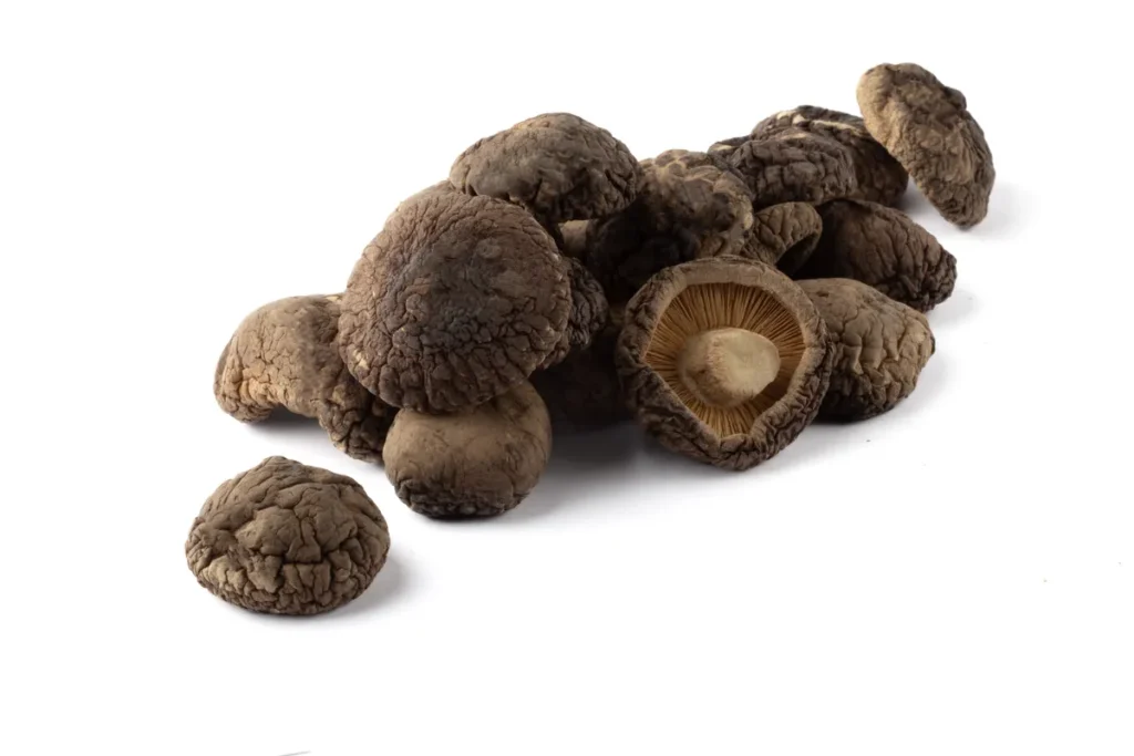 TWARDNIK JAPOŃSKI (SHIITAKE) SUSZONY