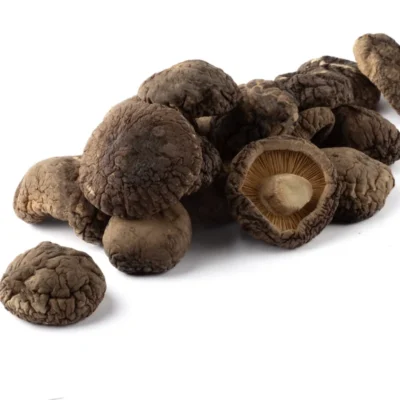 TWARDNIK JAPOŃSKI (SHIITAKE) SUSZONY