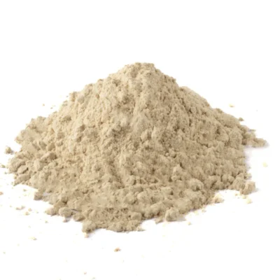 TWARDNIK JAPOŃSKI (SHIITAKE) MIELONY