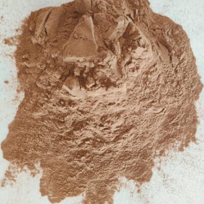 BŁYSKOPOREK PODKOROWY (CZAGA) EKSTRAKT 10:1