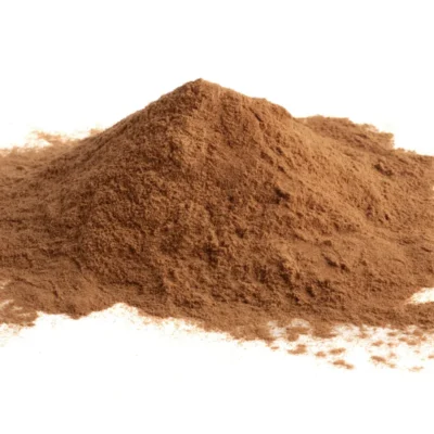 TWARDNIK JAPOŃSKI (SHIITAKE) EKSTRAKT 10:1