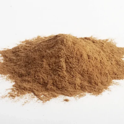 BOCZNIAK OSTRYGOWATY (OYSTER) 10:1 EKSTRAKT – 100G