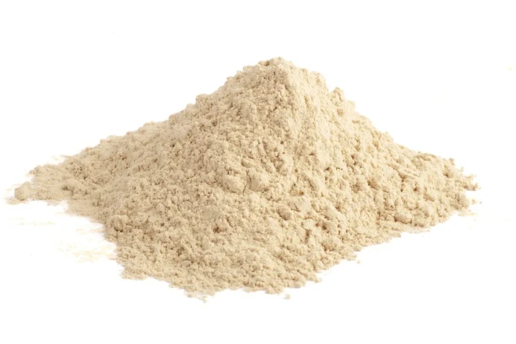 BOCZNIAK OSTRYGOWATY (PLEUROTUS OSTREATUS) – SUSZONY, MIELONY