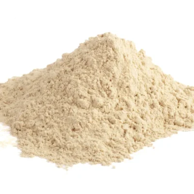 BOCZNIAK OSTRYGOWATY (PLEUROTUS OSTREATUS) – SUSZONY, MIELONY 100g