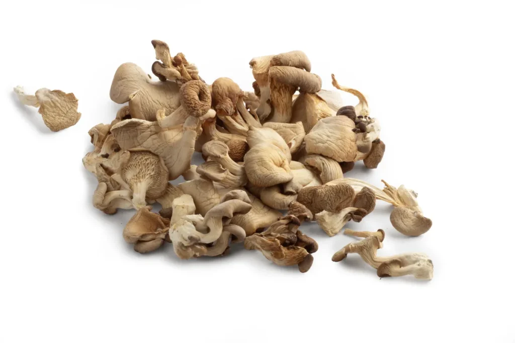 BOCZNIAK OSTRYGOWATY (PLEUROTUS OSTREATUS) – KROJONY, SUSZONY 100g