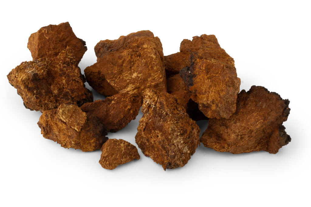 Home 7 - Sklep Grzybiarzy CZAGA (BŁYSKOPOREK PODKOROWY, CHAGA) – GRZYB SUSZONY W KAWAŁKACH 100g