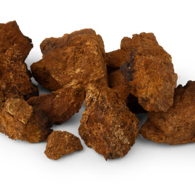 CZAGA (BŁYSKOPOREK PODKOROWY, CHAGA) – GRZYB SUSZONY W KAWAŁKACH 100g