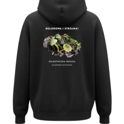 BLUZA Z KAPTUREM - WILGOTNICZKA PAPUZIA