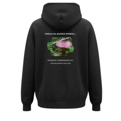 BLUZA Z KAPTUREM - RYCERZYK CZERWONOZŁOTY