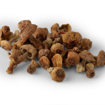 Pieczarka brazylijska suszona 100g